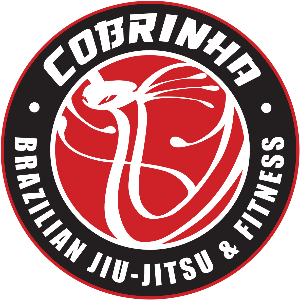 Kids — Cobrinha Brazilian Jiu-Jitsu & Fitness